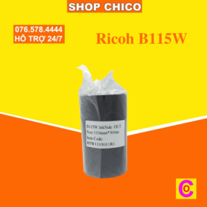Ricoh B115W
