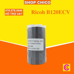 Ricoh B120ECV