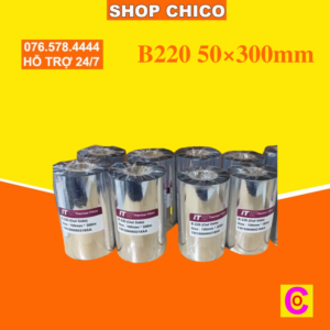 B220 50×300mm
