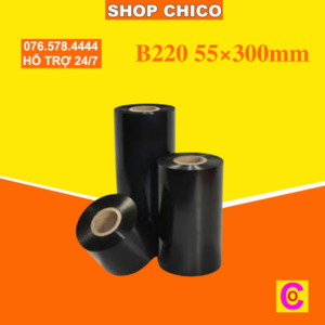 B220 55×300mm