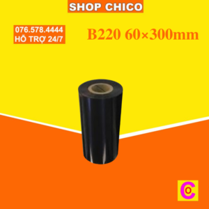 B220 60×300mm