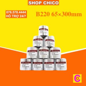 B220 65×300mm