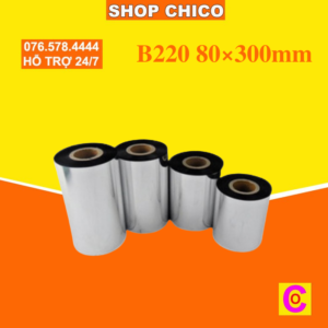 B220 80×300mm