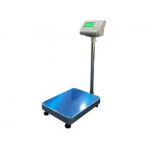 SALMON TỪ 30KG - 60KG